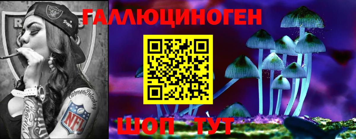Галлюциногенные грибы Psilocybe Добрянка